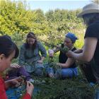 27 июля 2025 года завершился очередной молодежный волонтерский сезон