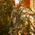 7 января 2026 года в храме Воскресения Словущего в Даниловской слободе торжественно отметили Рождество Христово