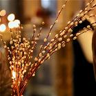 4–5апреля 2026 года в храме прошли богослужения Вербной недели