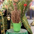 4–5апреля 2026 года в храме прошли богослужения Вербной недели