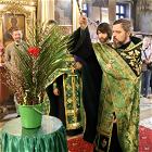 4–5апреля 2026 года в храме прошли богослужения Вербной недели